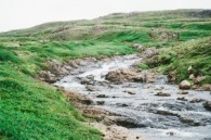 nature-brook-creek-stream
